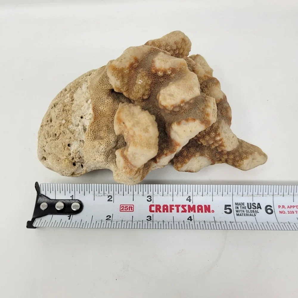 N/A weighs lb